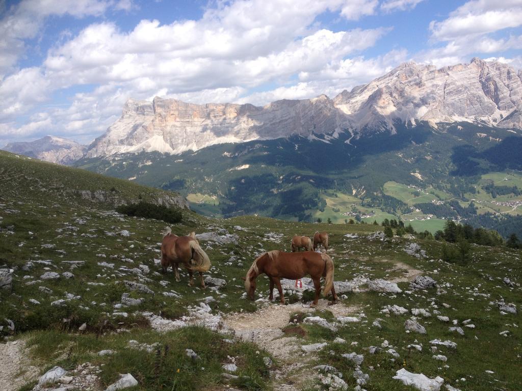 Gana Apartamento La Villa (Trentino Alto Adige)