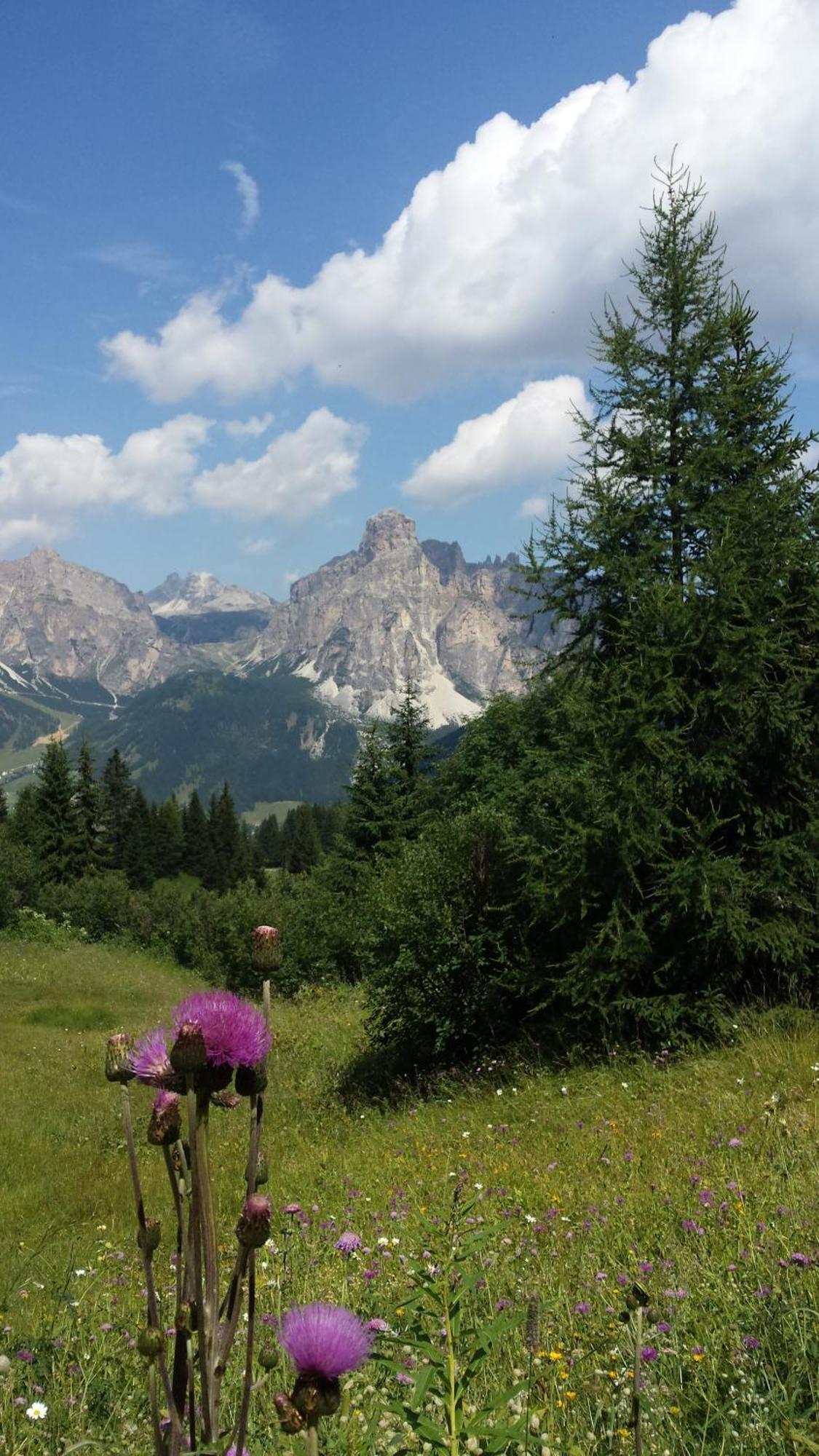 Gana * La Villa (Trentino Alto Adige)